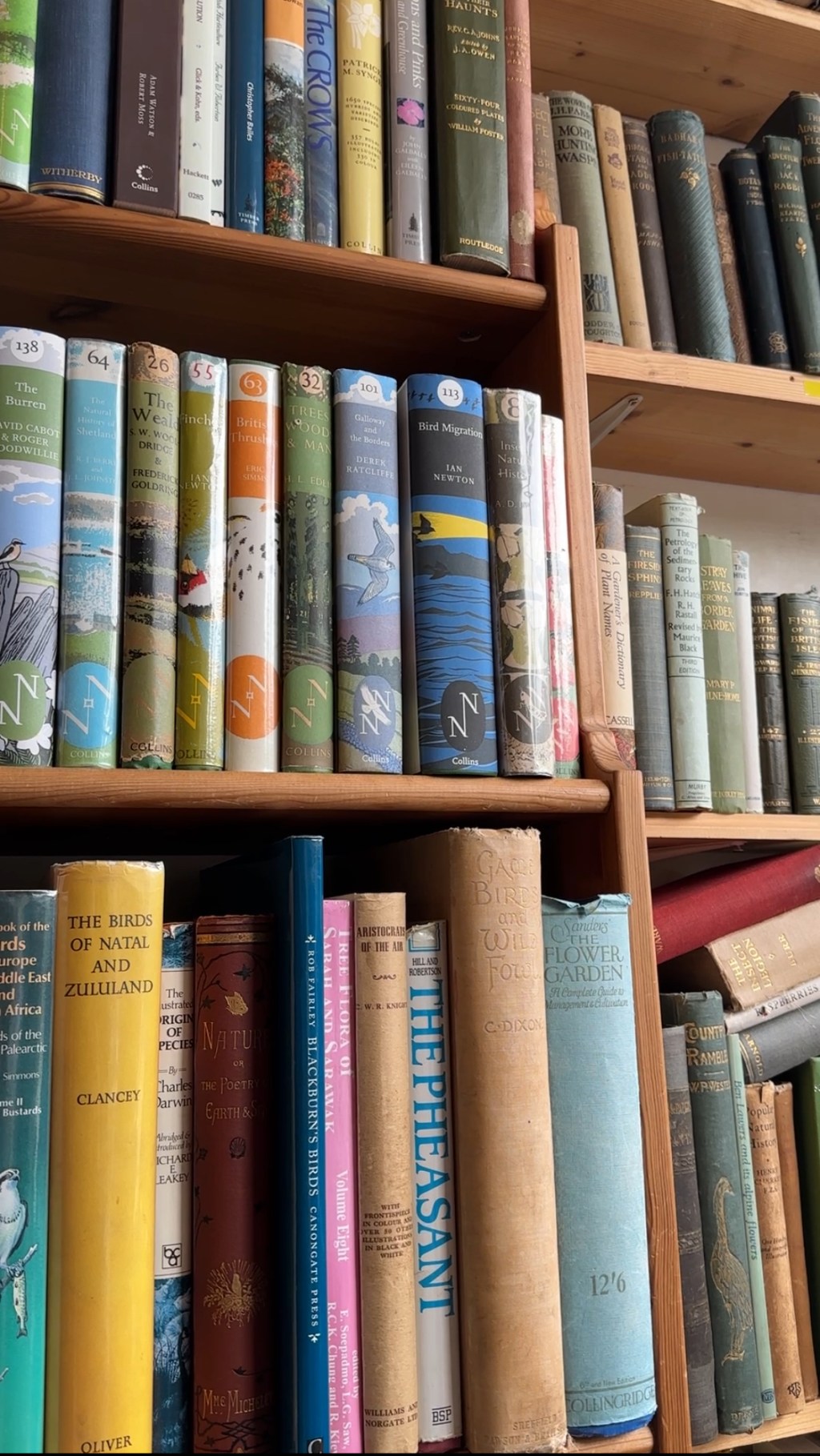 Welcome to Katie the Book Reporter: The&nbsp;Blog